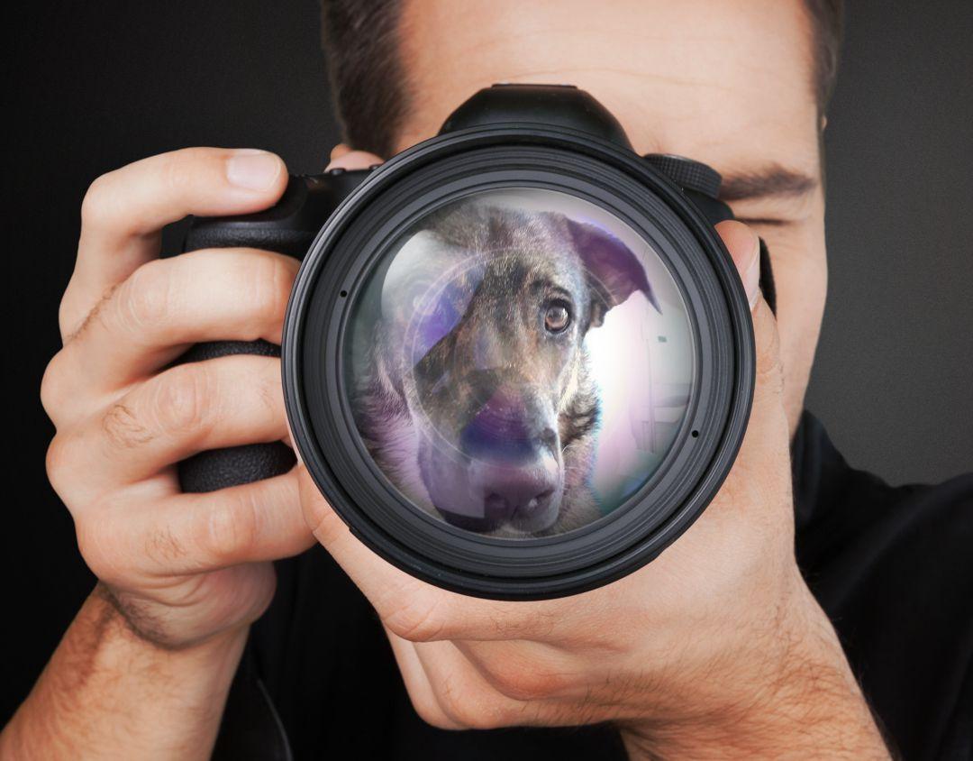 EPEX PHOTO AWARDS 2022