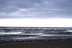 Neue Fotos der Woche