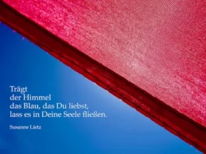 Blau und Rot – Fotogalerie der Woche